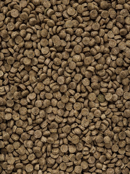 MIKIMEALS Complex для крыс и мышей, 500 гр