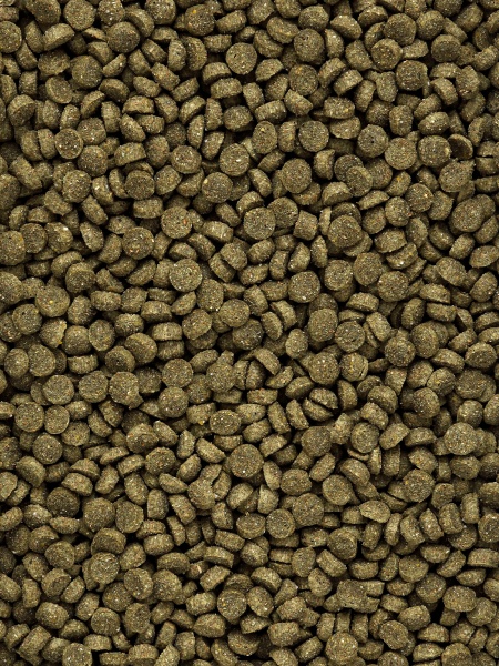 MIKIMEALS Complex для хомяков, 500 гр